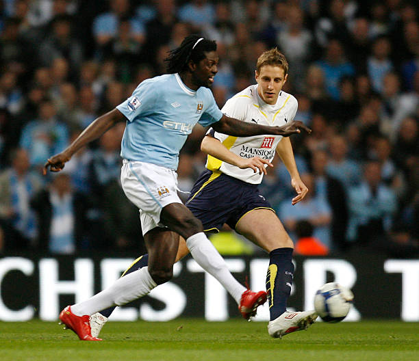 仅展示了杨 仅展示了杨