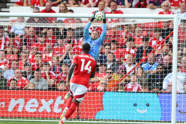 在赛季期间 在赛季期间